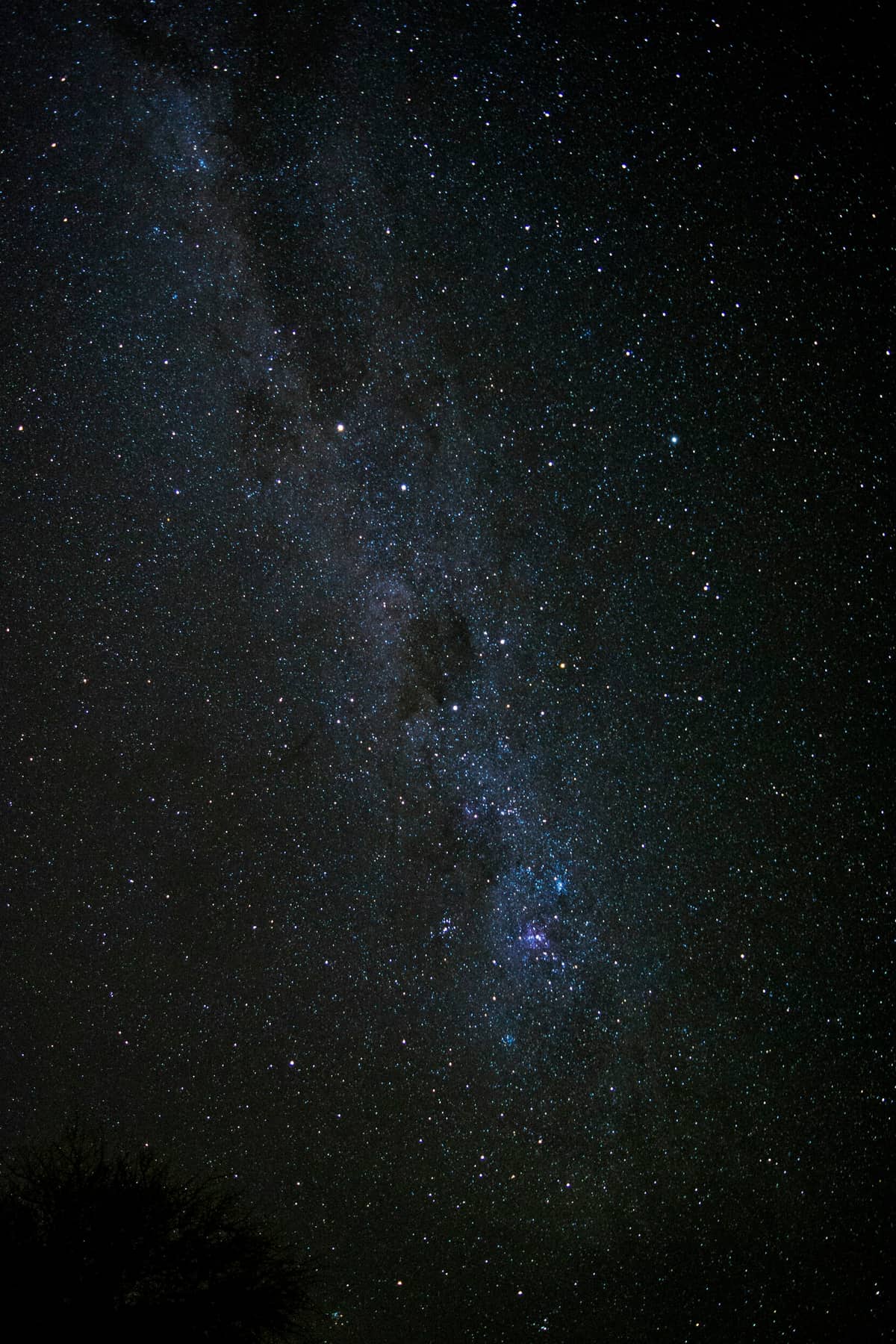 Chile concentra el 40% de la astronomía mundial: el cielo que supimos cuidar