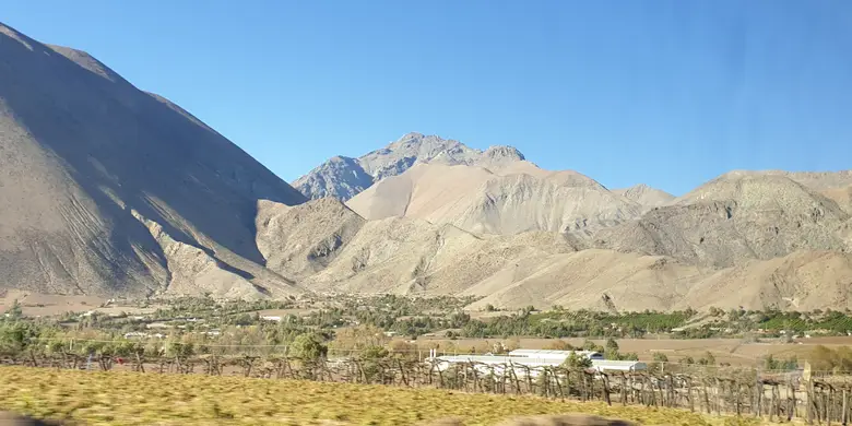 Viñedos y cultivos verdes del Valle del Elqui encajonados entre cerros áridos