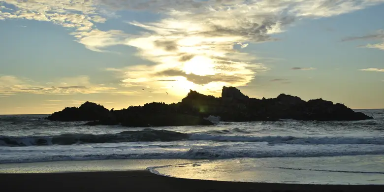 Lobería en los roqueríos de la costa de Cobquecura, Región de Ñuble